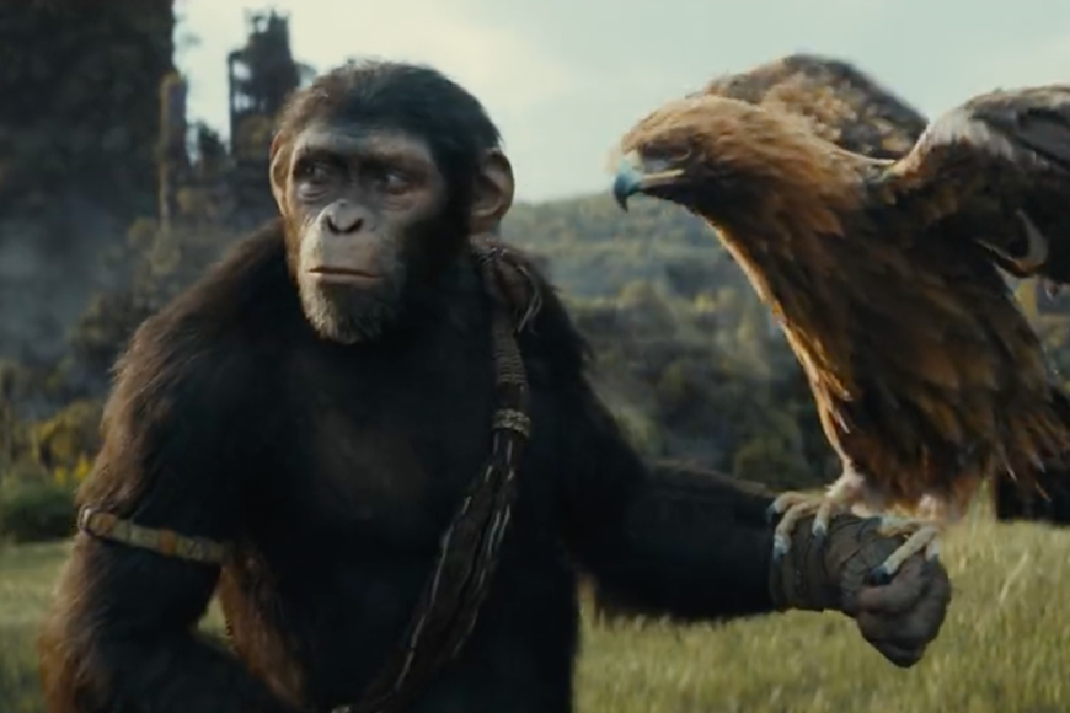 Sau Kingdom of the Planet of the Apes sẽ còn nhiều phim nữa tiếp nối