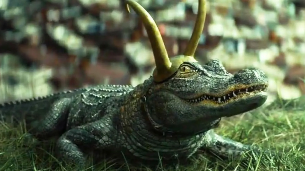 Cá sấu Loki bị bắt cóc rồi được thả về thiên nhiên