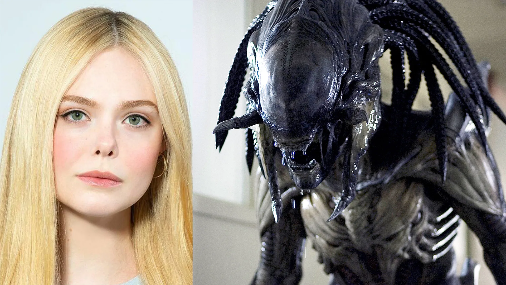 Phim Predator mới có thể sẽ có sự tham gia của Elle Fanning
