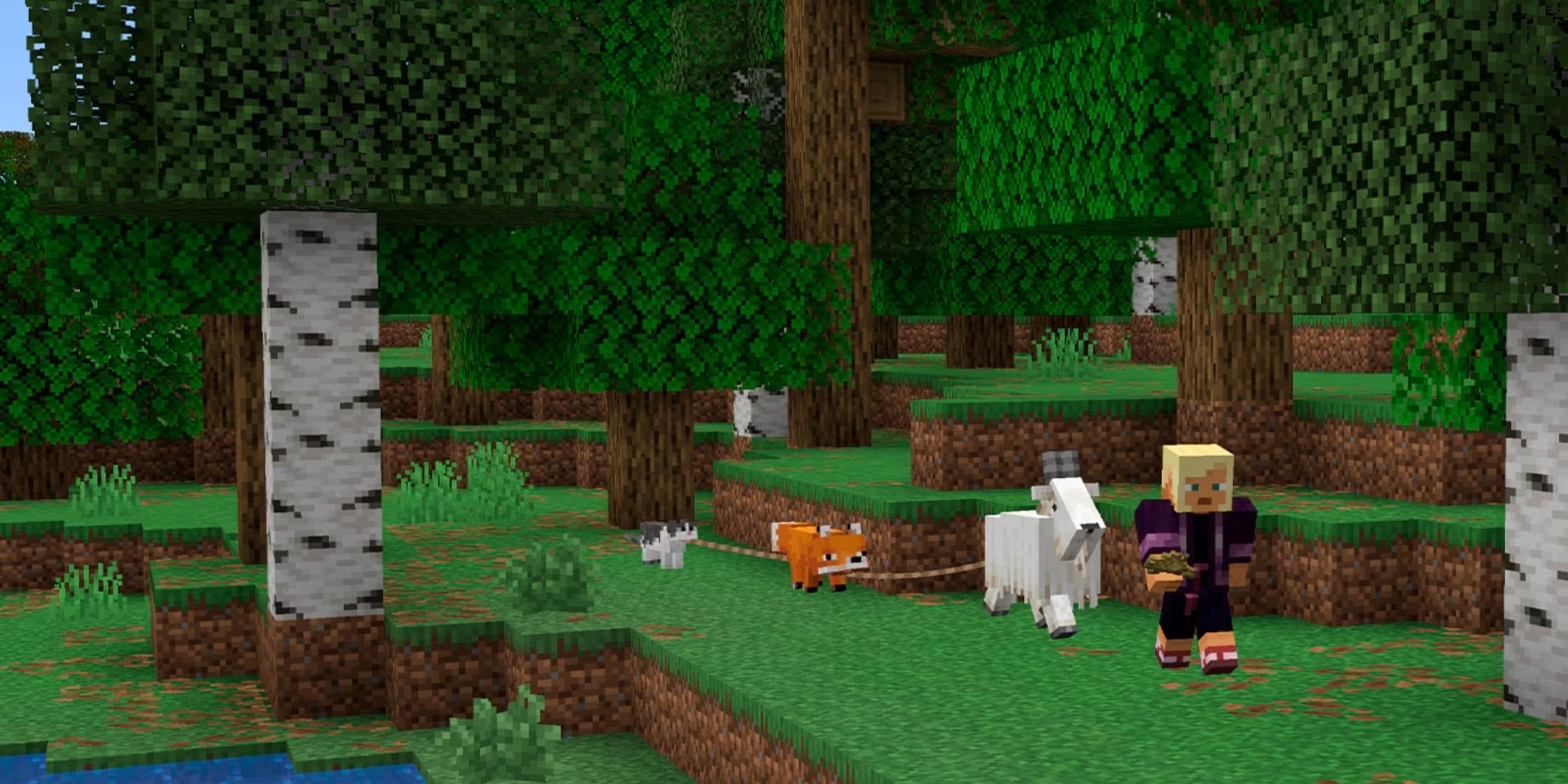 Minecraft 